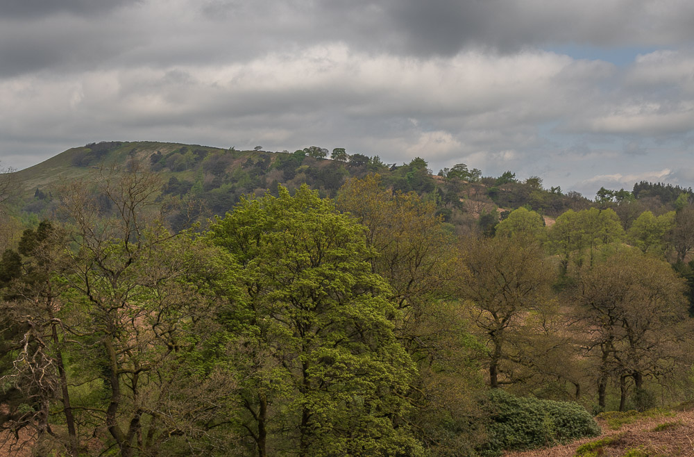 Foxlow Edge Foxlow Edge